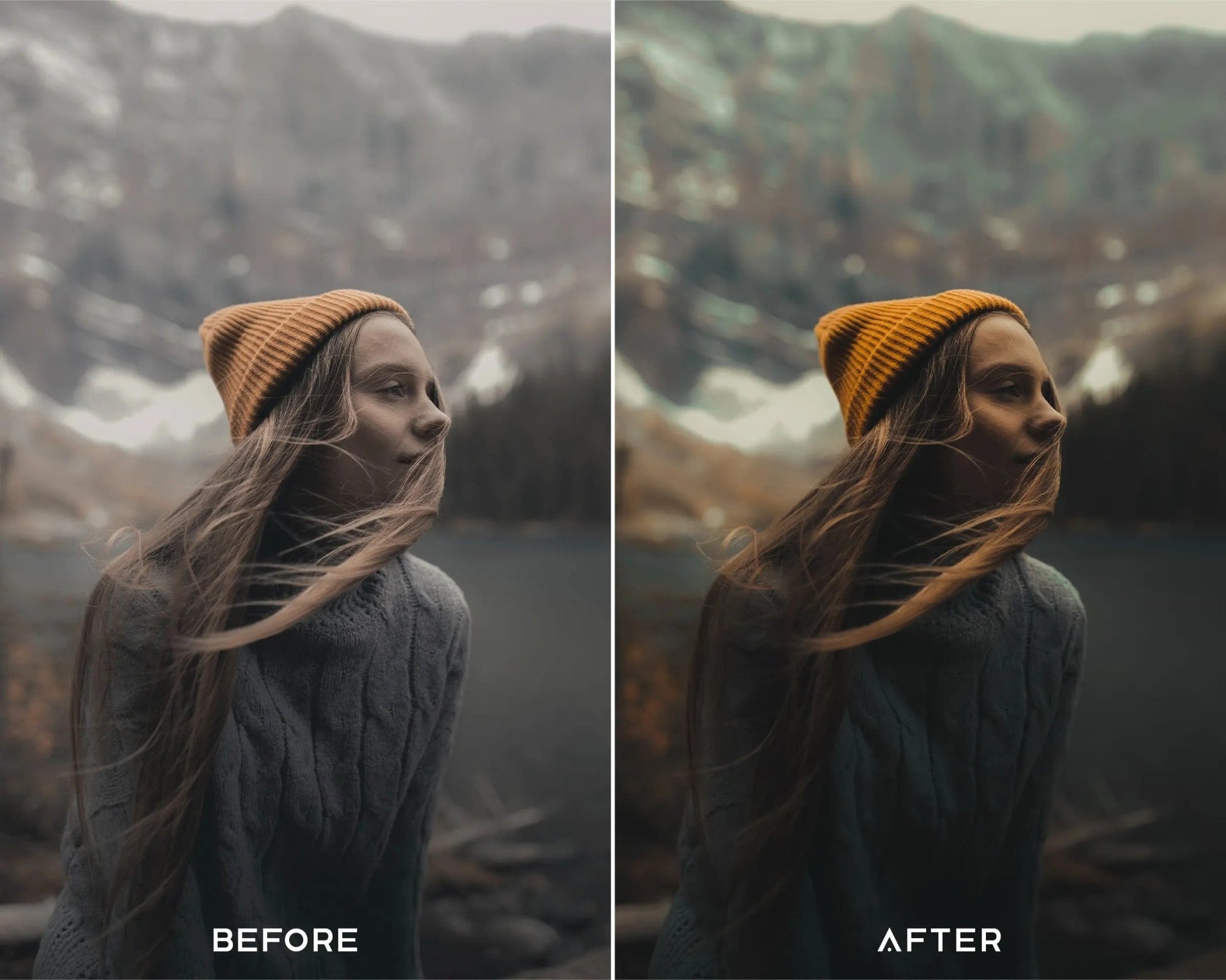 150,000+ Lightroom presets - AscendPLR