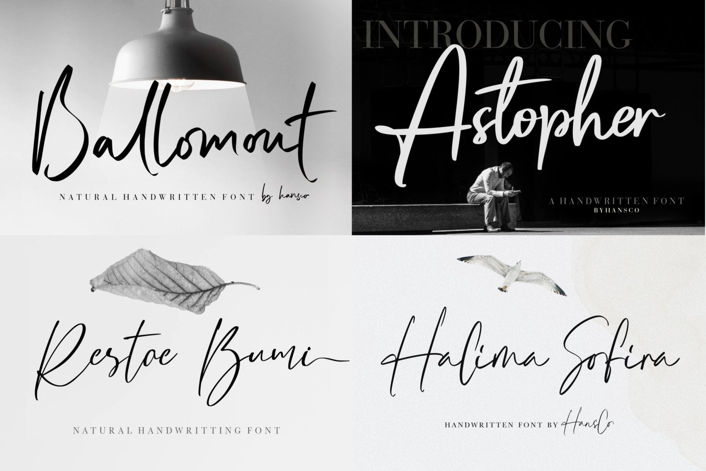 50,000+ Professional fonts - AscendPLR