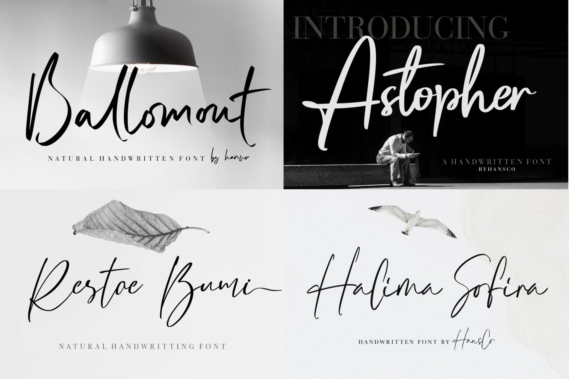 50,000+ Professional fonts - AscendPLR